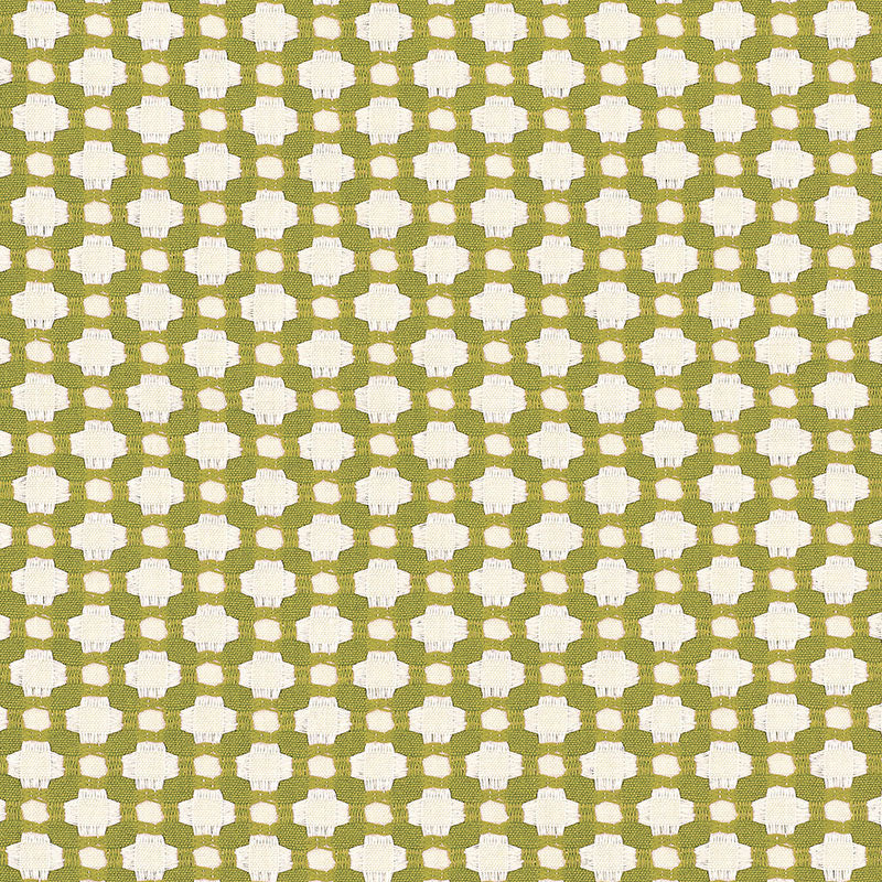 Schumacher Betwixt Grass/Ivory Fabric 62614