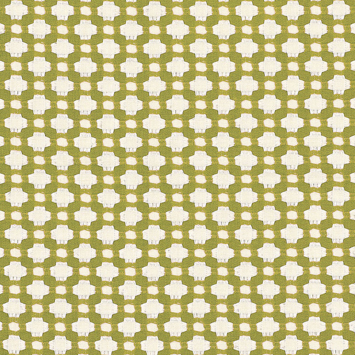 Schumacher Betwixt Grass/Ivory Fabric 62614