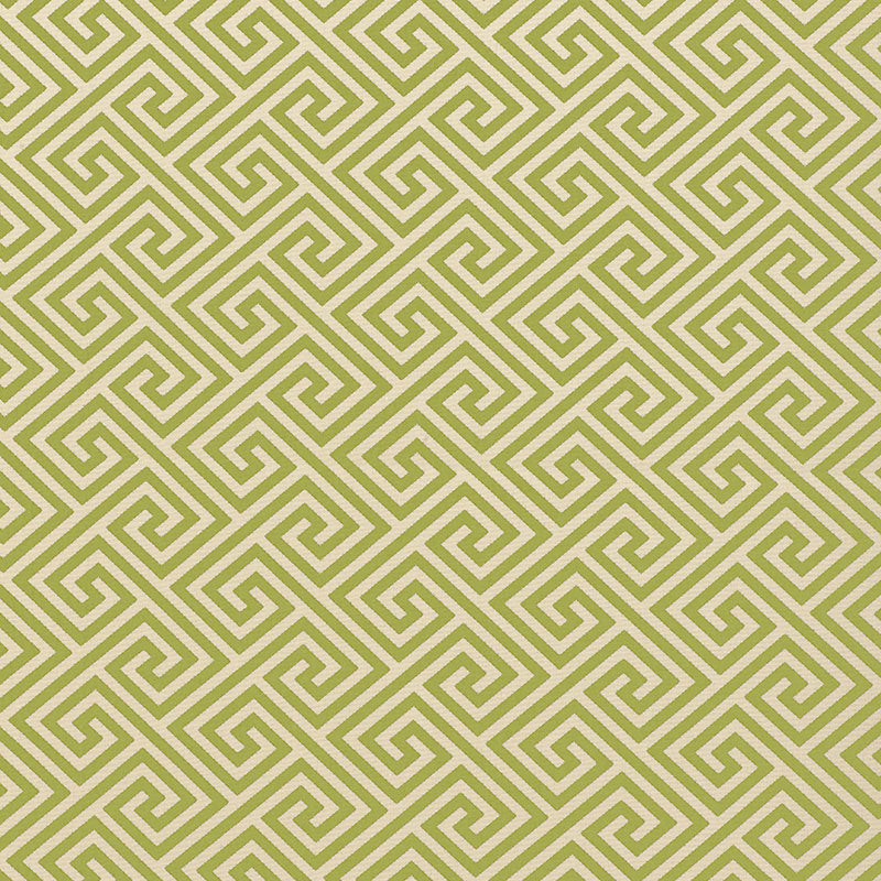 Schumacher St. Tropez Indoor/Outdoor Avocado Fabric 62904