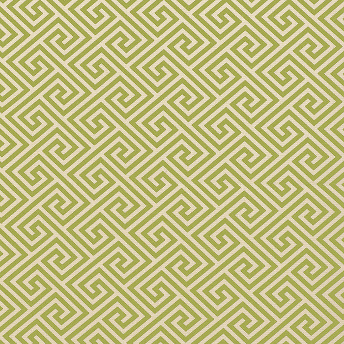 Schumacher St. Tropez Indoor/Outdoor Avocado Fabric 62904