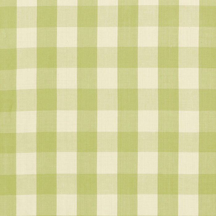 Schumacher Camden Cotton Check Sage Fabric Sample 63036