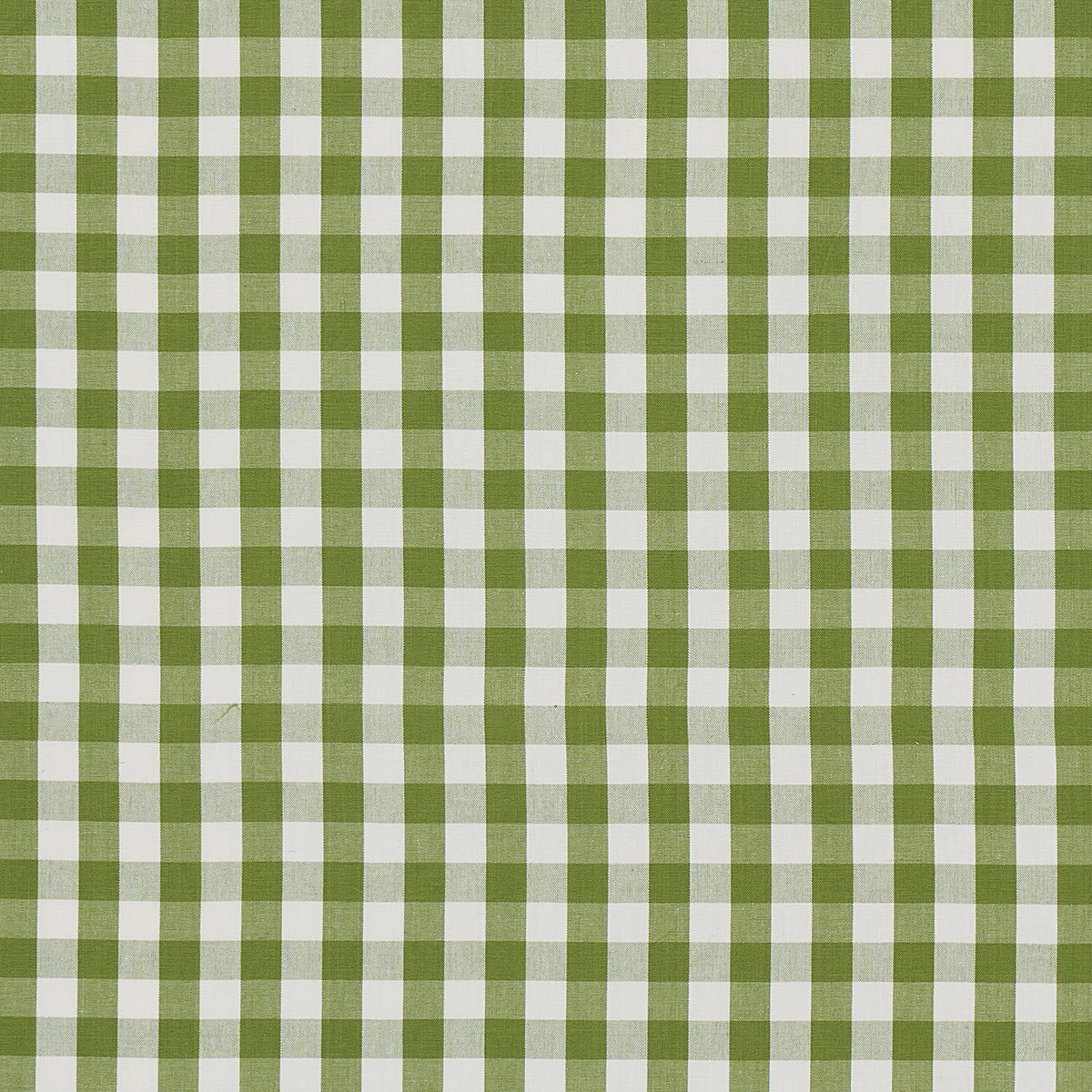 Schumacher Elton Cotton Check Leaf Fabric 63071