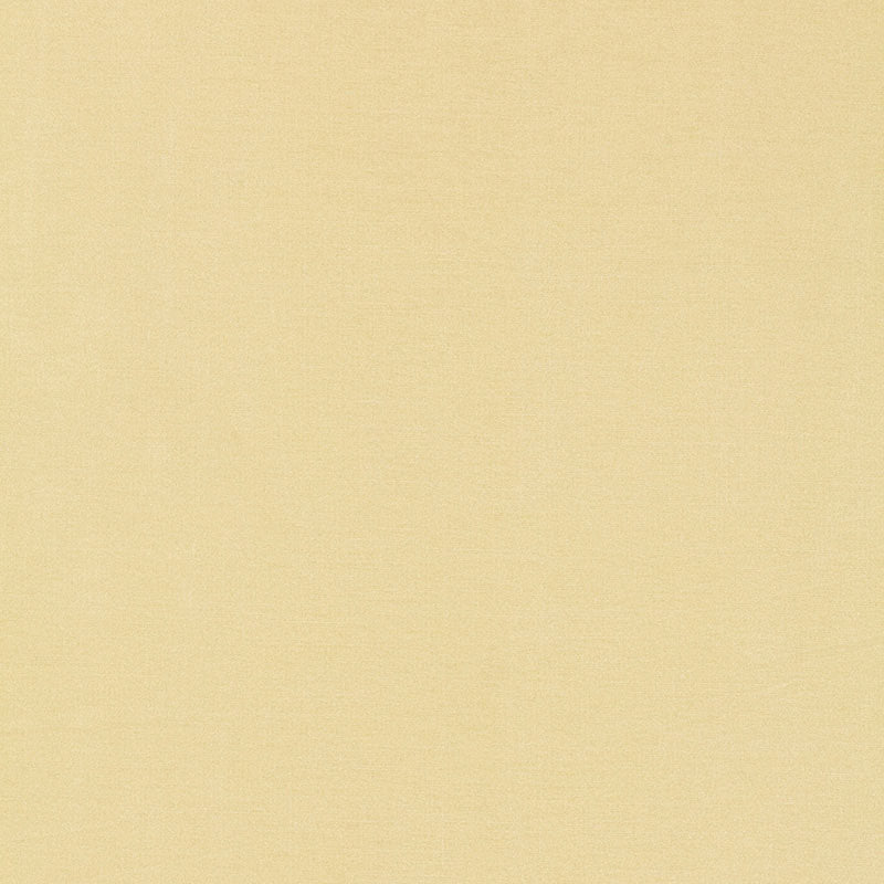 Schumacher Tiepolo Shantung Weave Ivory Fabric 63842