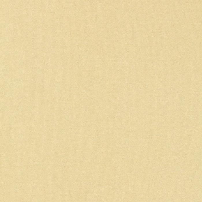 Schumacher Tiepolo Shantung Weave Ivory Fabric Sample 63842