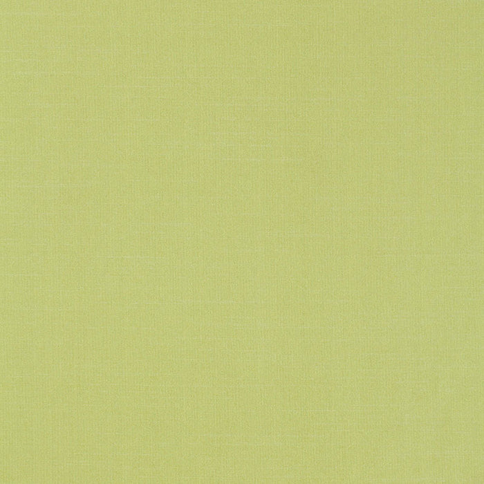 Schumacher Tiepolo Shantung Weave Limeade Fabric Sample 63866