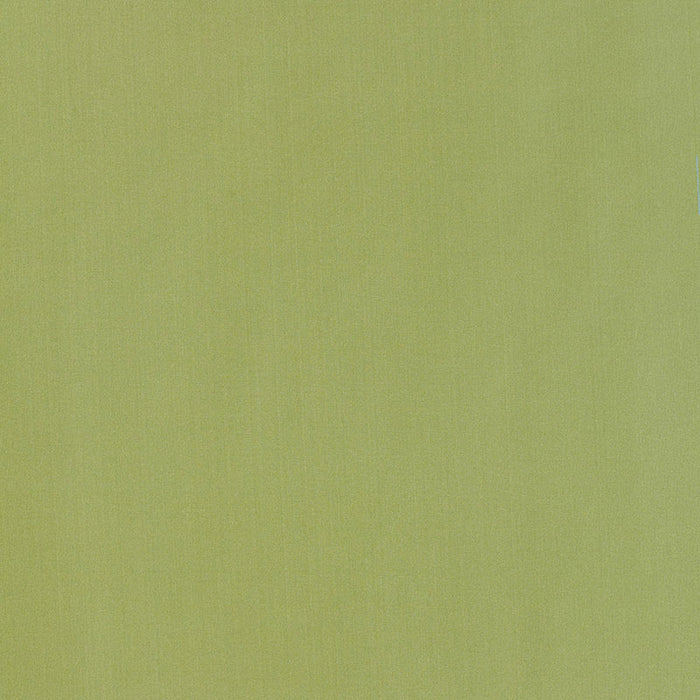 Schumacher Giordano Taffeta Kryptonite Fabric 63970