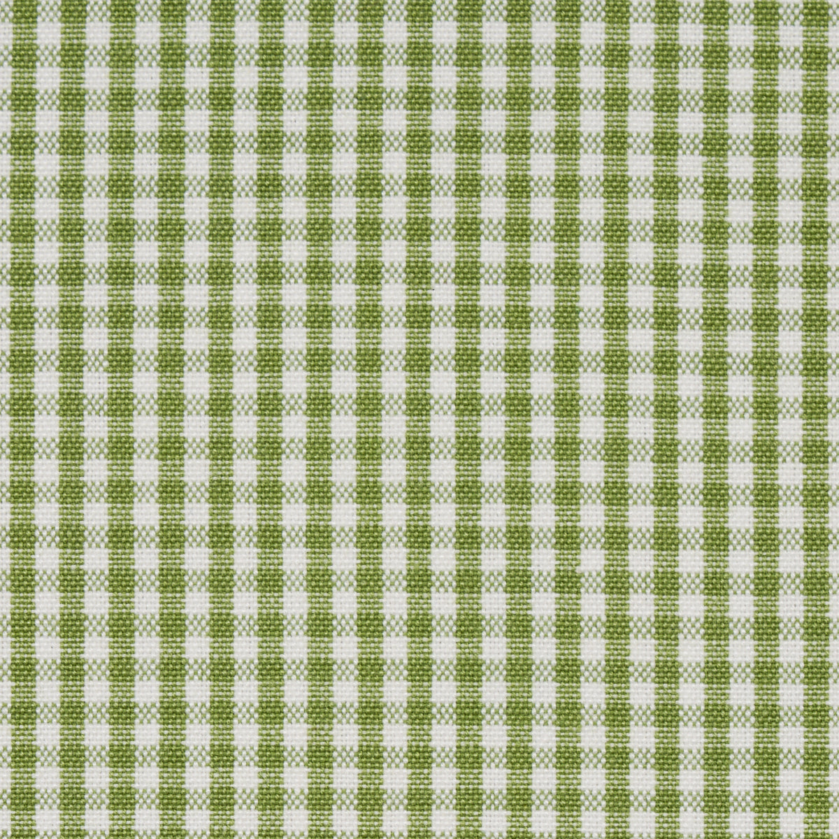 Schumacher Barnet Cotton Check Leaf Fabric Sample 64638