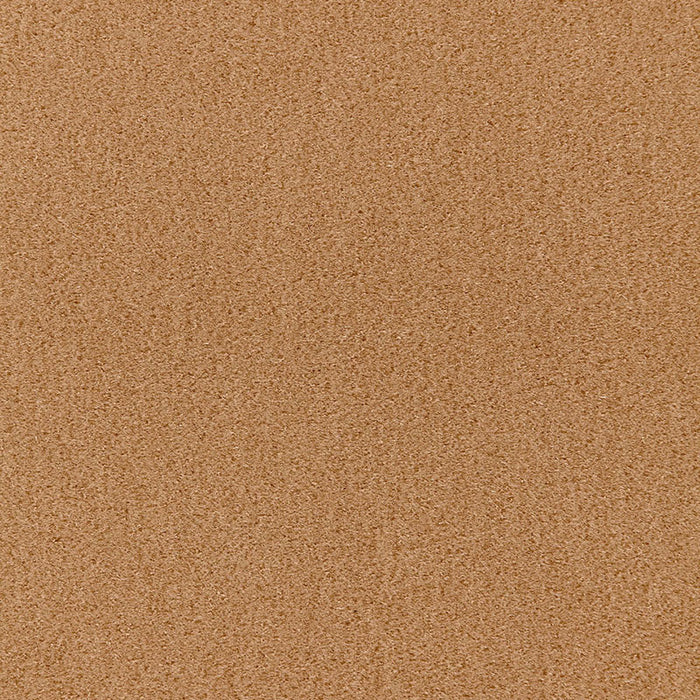 Schumacher San Carlo Mohair Velvet Sahara Fabric Sample 64850