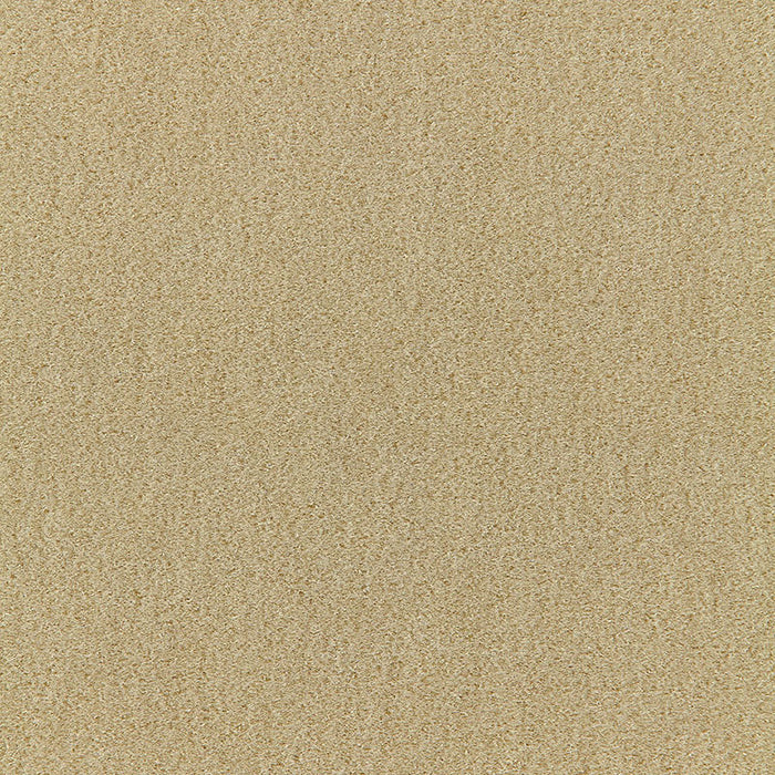 Schumacher San Carlo Mohair Velvet Putty Fabric Sample 64859