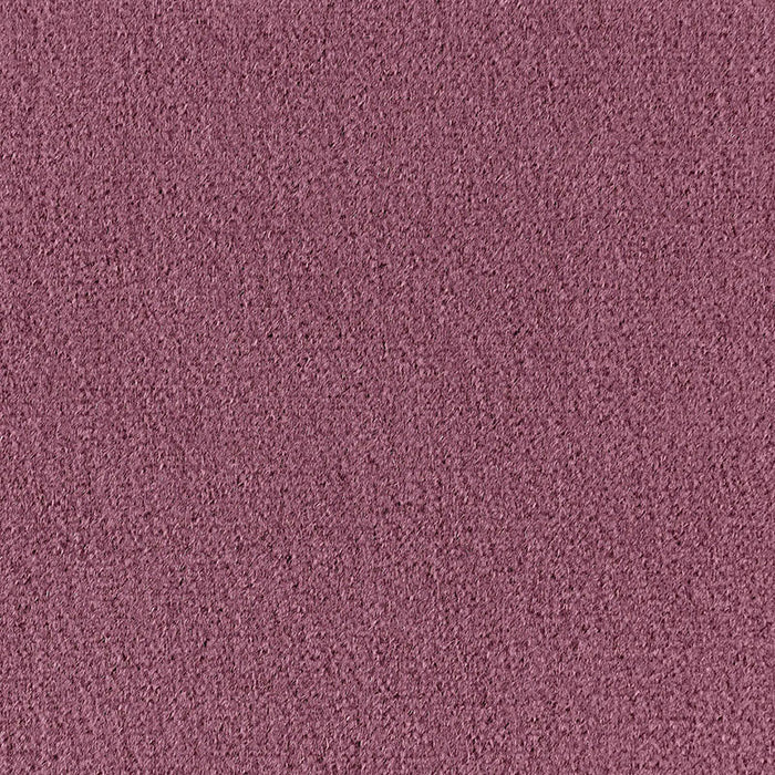 Schumacher San Carlo Mohair Velvet Thistle Fabric Sample 64860