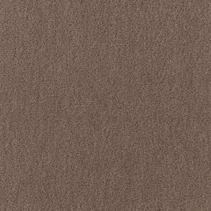 Schumacher San Carlo Mohair Velvet Driftwood Fabric Sample 64868