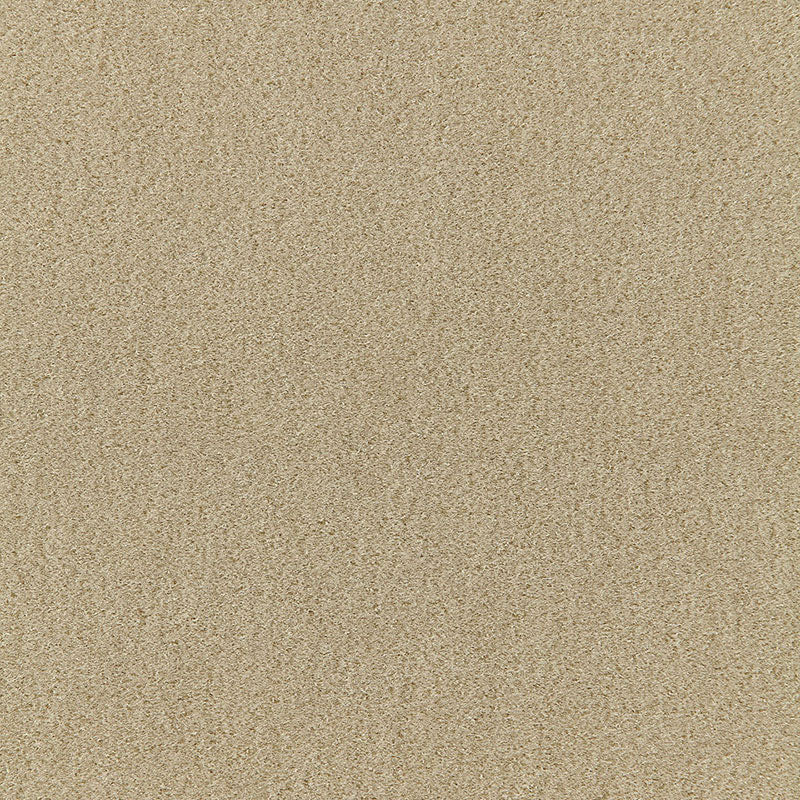 Schumacher San Carlo Mohair Velvet Pebble Fabric 64871