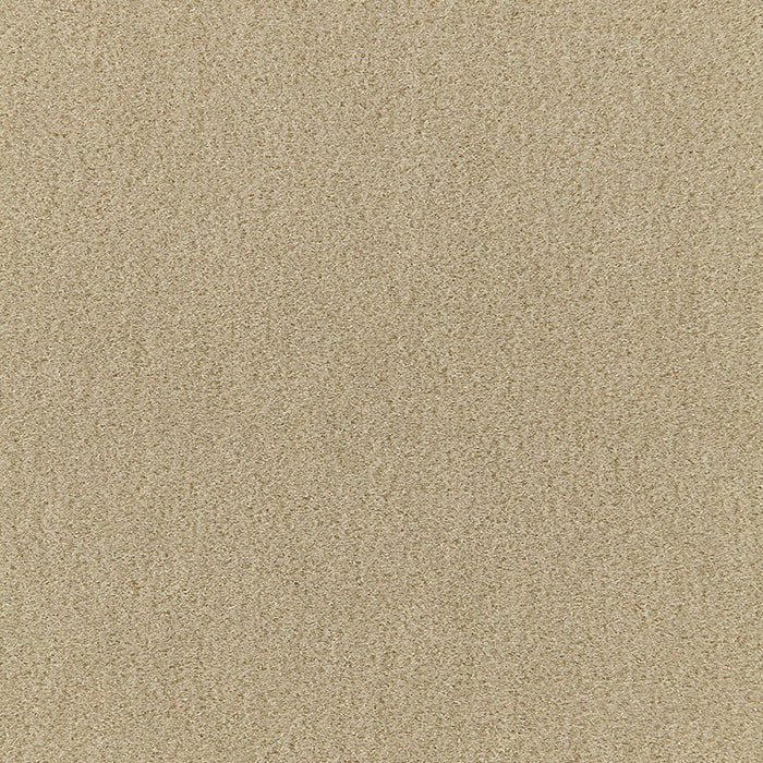 Schumacher San Carlo Mohair Velvet Pebble Fabric Sample 64871