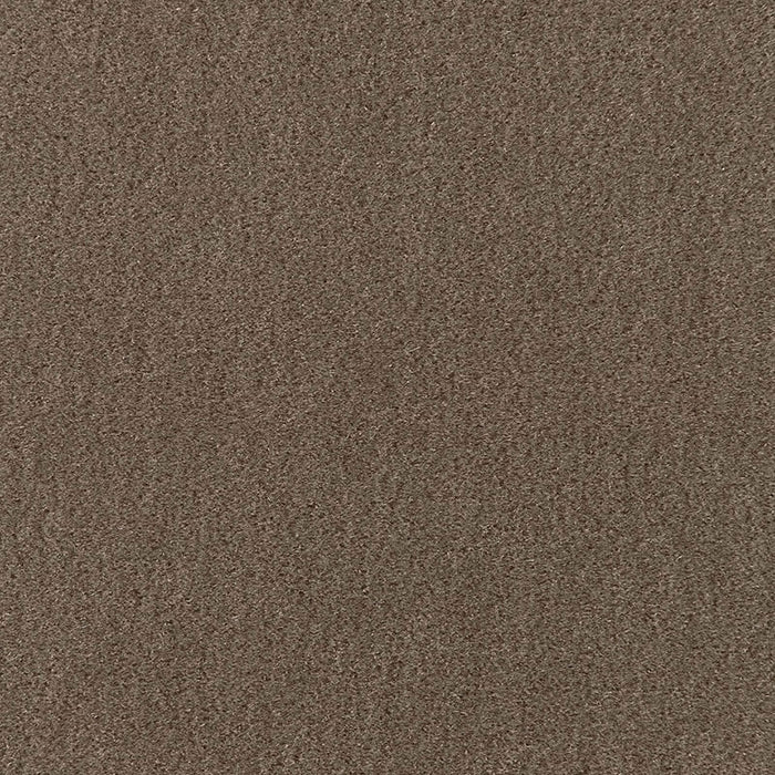 Schumacher San Carlo Mohair Velvet Taupe Fabric Sample 64884