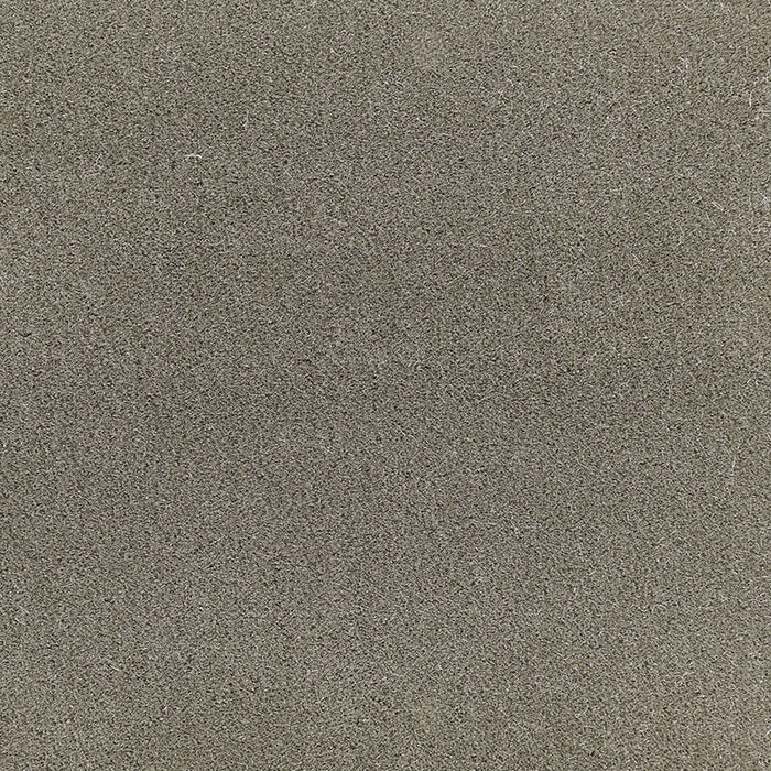 Schumacher San Carlo Mohair Velvet Moleskin Fabric Sample 64896