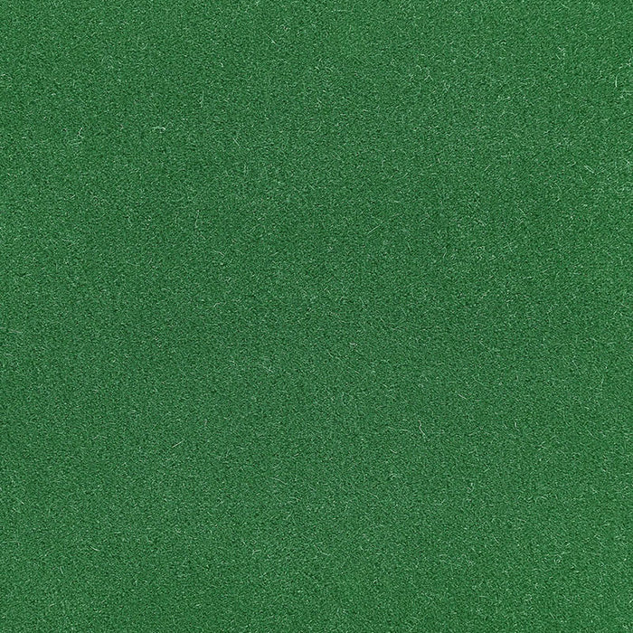 Schumacher Palermo Mohair Velvet Shamrock Fabric Sample 64935