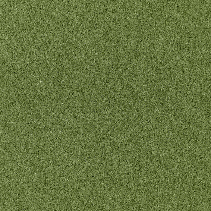 Schumacher Palermo Mohair Velvet Grass Fabric 64937