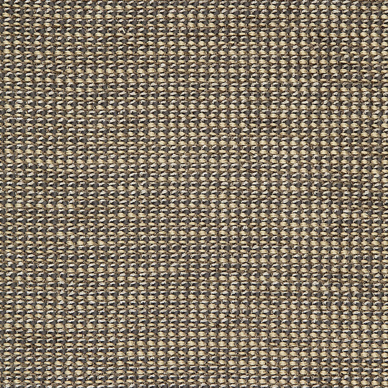 Schumacher Coco Weave Oxford Fabric 65672