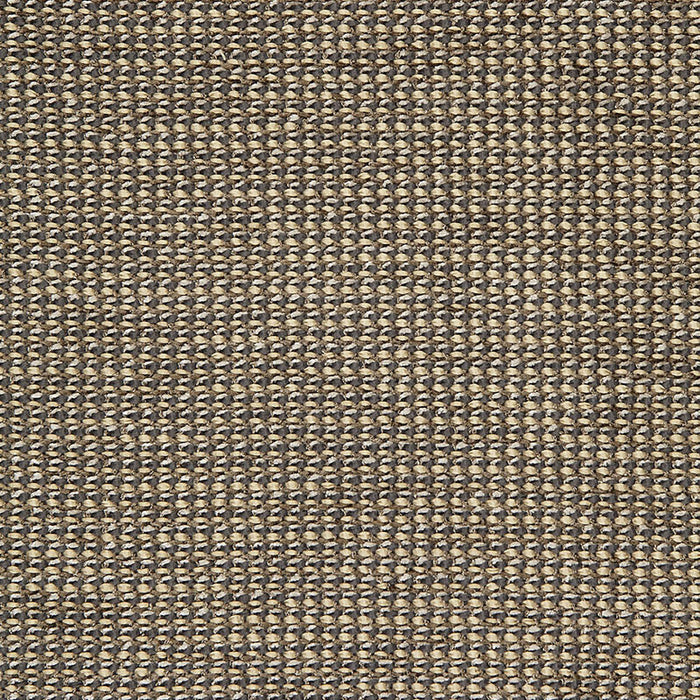 Schumacher Coco Weave Oxford Fabric Sample 65672