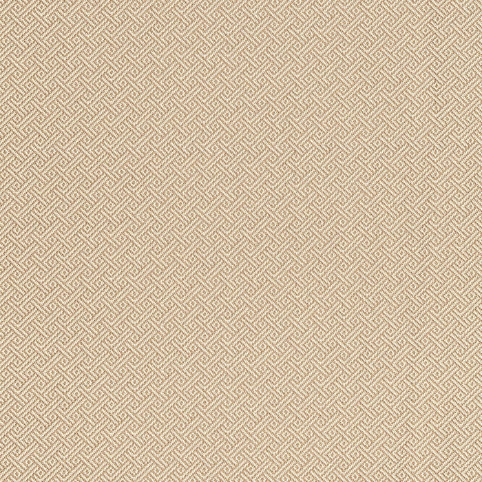 Schumacher Picard Weave Greige Fabric Sample 66411