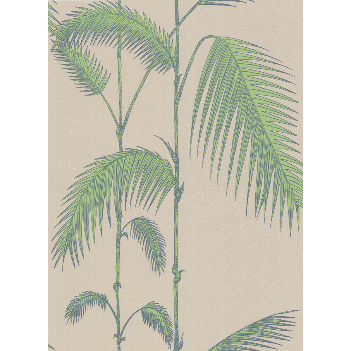 Cole & Son Palm Leaves Taupe/G Wallpaper Sample 66/2011.CS.0