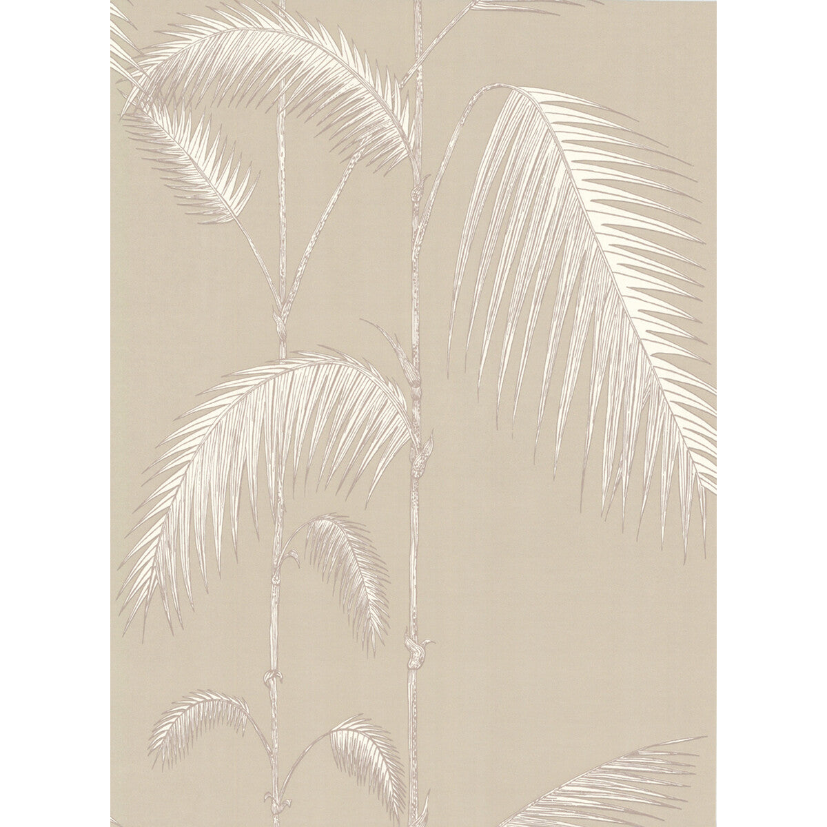 Cole & Son Palm Leaves Taupe/W Wallpaper Sample 66/2013.CS.0