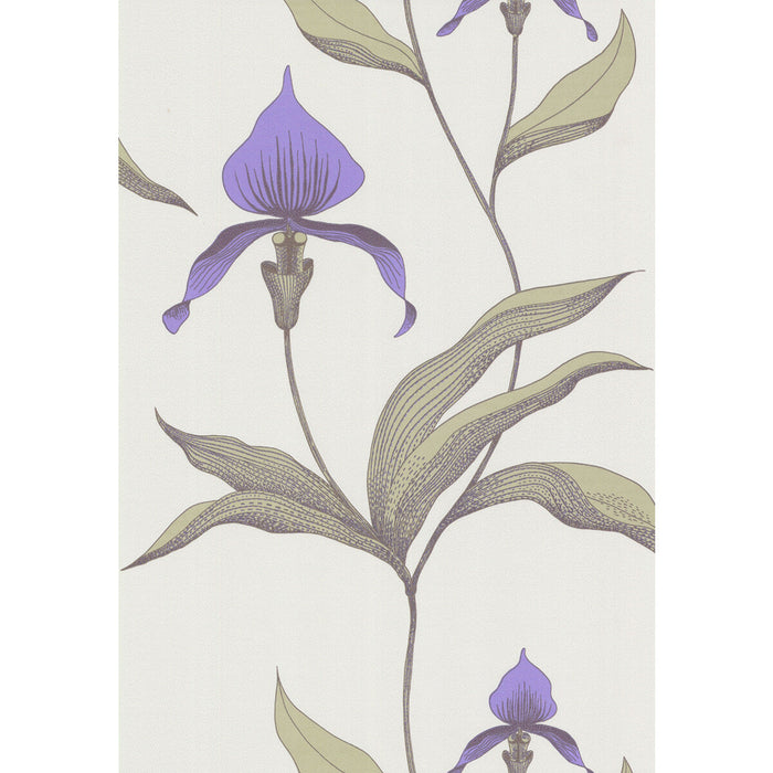 Cole & Son Orchid White/M Wallpaper Sample 66/4024.CS.0