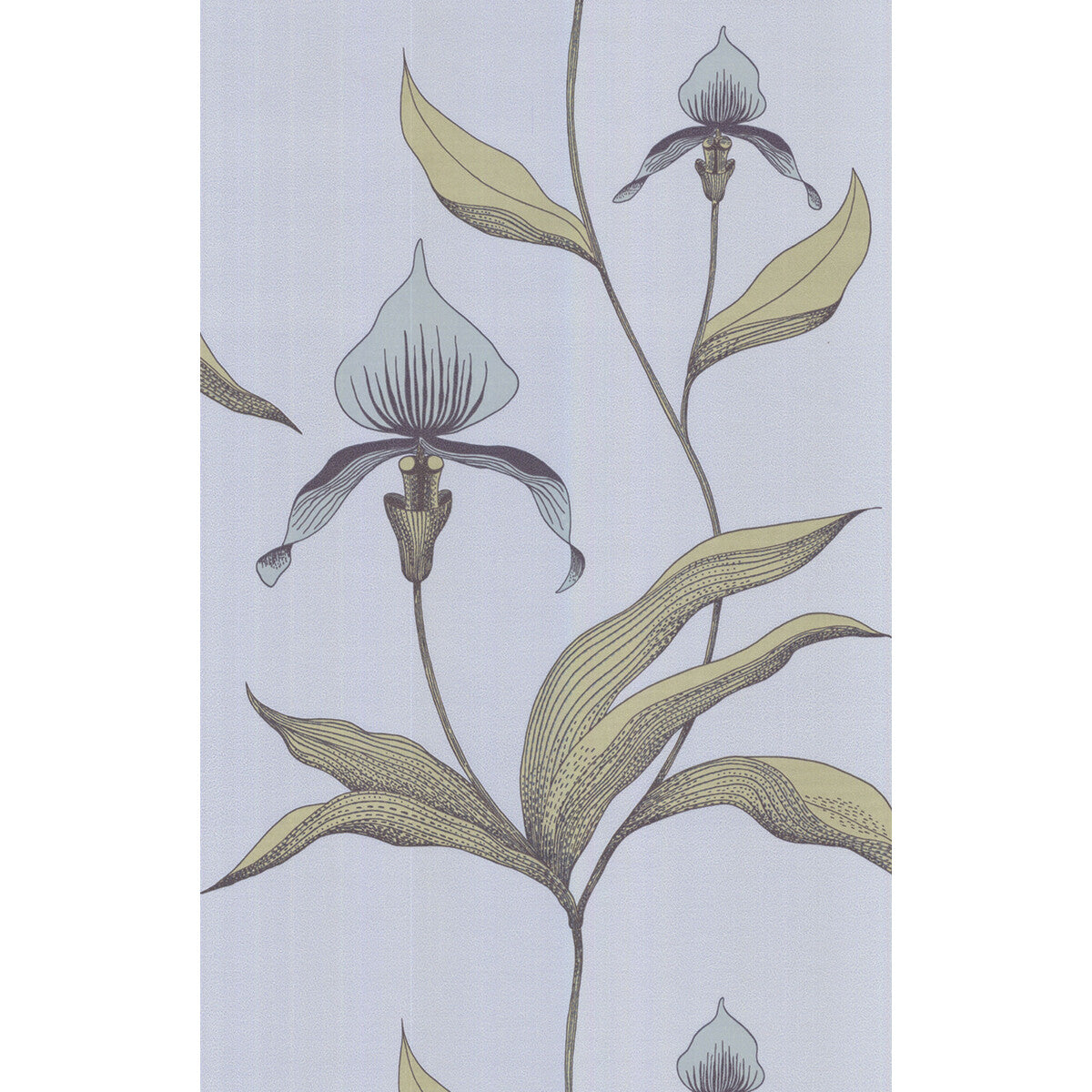 Cole & Son Orchid Blue Gr Wallpaper Sample 66/4026.CS.0