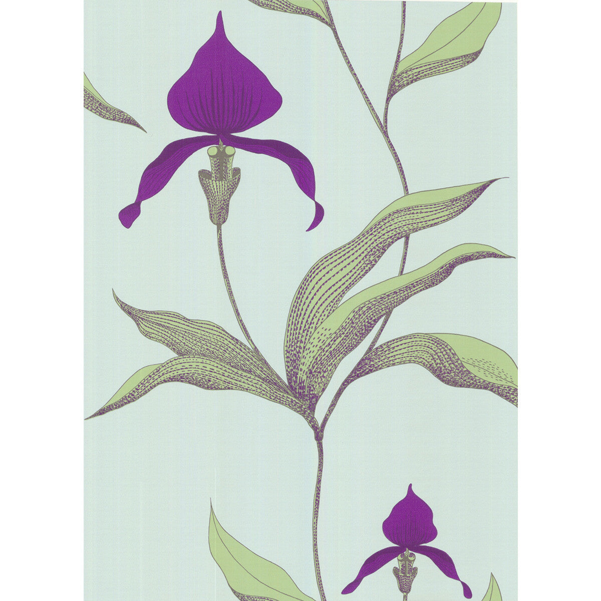 Cole & Son Orchid Turquoi Wallpaper Sample 66/4027.CS.0