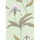 Cole & Son Orchid Pale Gr Wallpaper Sample 66/4028.CS.0