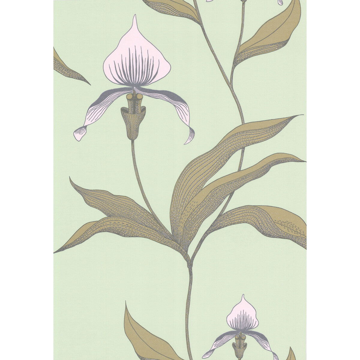 Cole & Son Orchid Pale Gr Wallpaper Sample 66/4028.CS.0