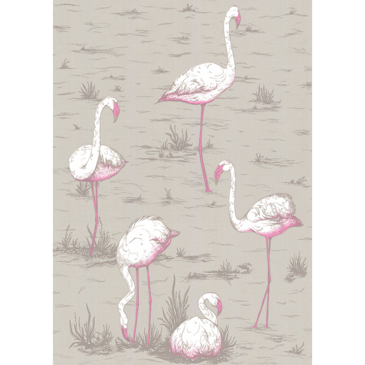 Cole & Son Flamingos Grey Wallpaper Sample 66/6042.CS.0