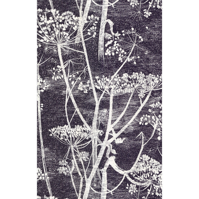 Cole & Son Cow Parsley White/Blk Wallpaper Sample 66/7046.CS.0