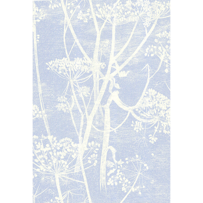 Cole & Son Cow Parsley White/Blu Wallpaper Sample 66/7050.CS.0