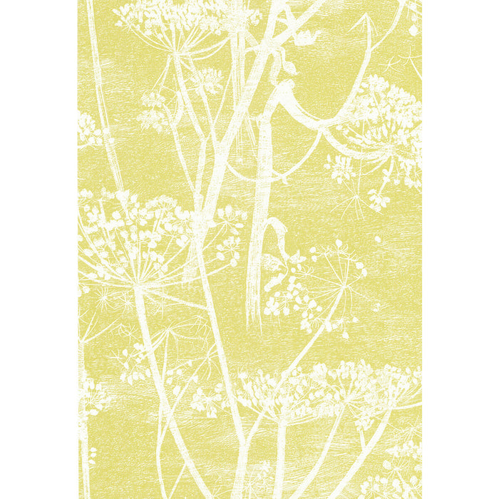 Cole & Son Cow Parsley White/Y Wallpaper Sample 66/7051.CS.0