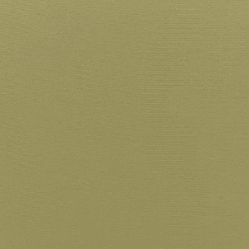 Schumacher Sophia Velvet Olivine Fabric Sample 68194