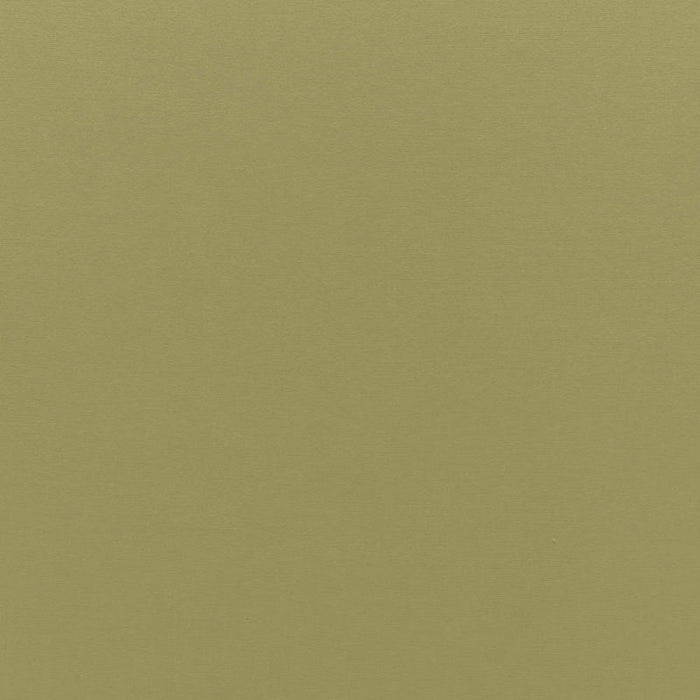 Schumacher Sophia Velvet Olivine Fabric Sample 68194