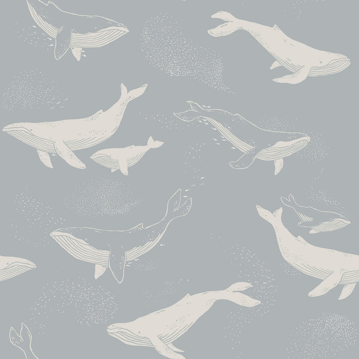 Schumacher Whales Slate Wallpaper 6942