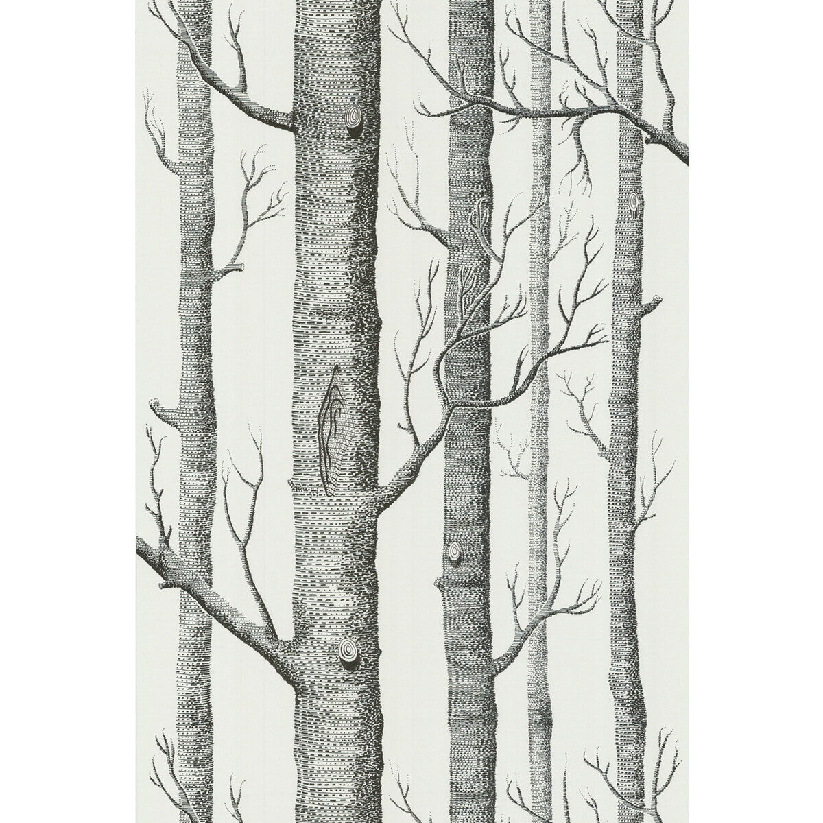 Cole & Son Woods Onyx/White Wallpaper Sample 69/12147.CS.0