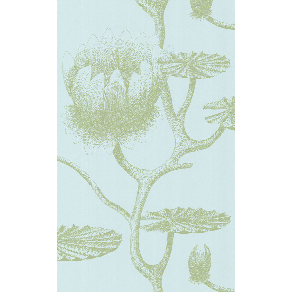 Cole & Son Lily Sage/Pale Blue Wallpaper Sample 69/3112.CS.0