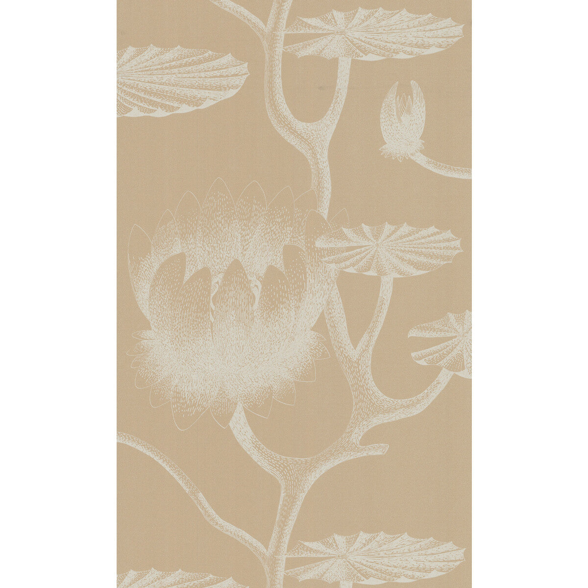 Cole & Son Lily Ivory/Sand Wallpaper Sample 69/3113.CS.0