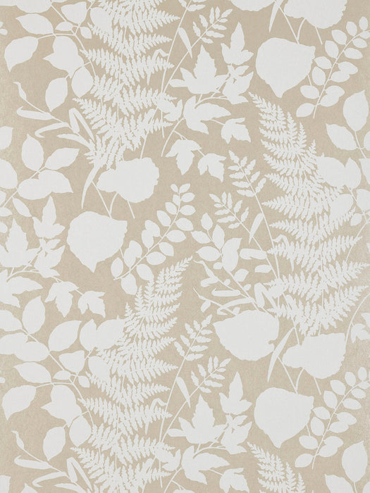 Pierre Frey Les Fougeres Champagne Wallpaper Sample FP754001