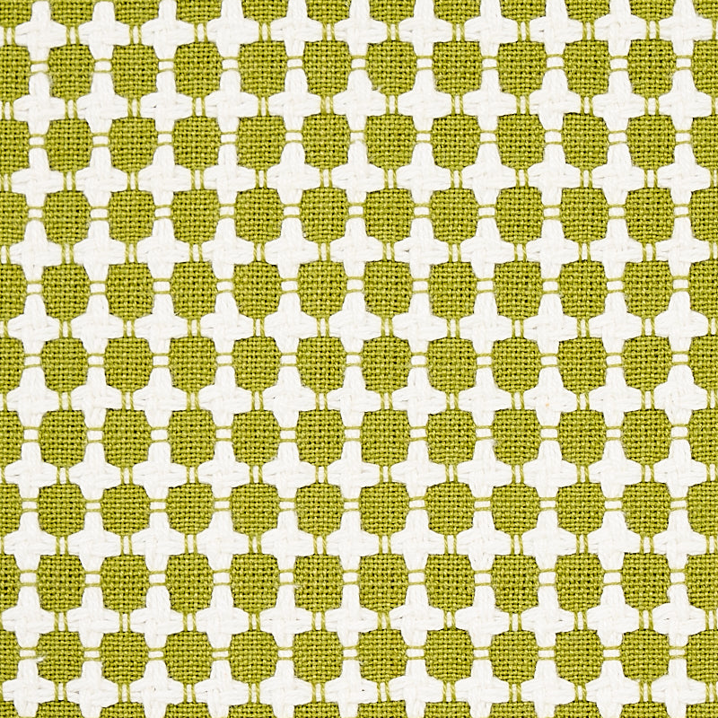 Schumacher Zipster Leaf Fabric Sample 70521