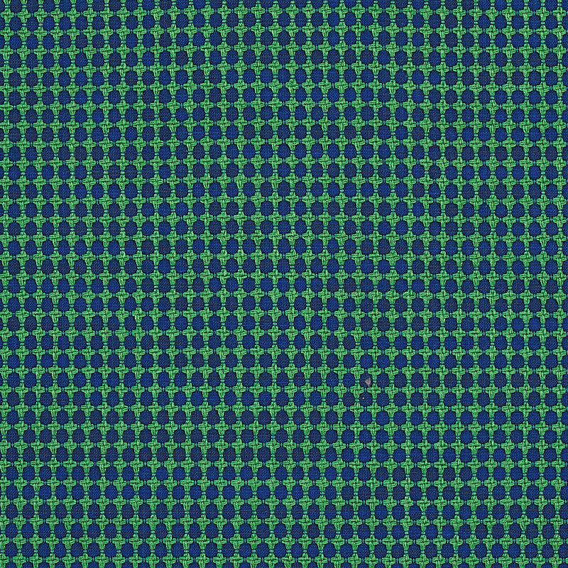 Schumacher Zipster Navy & Green Fabric Sample 70529