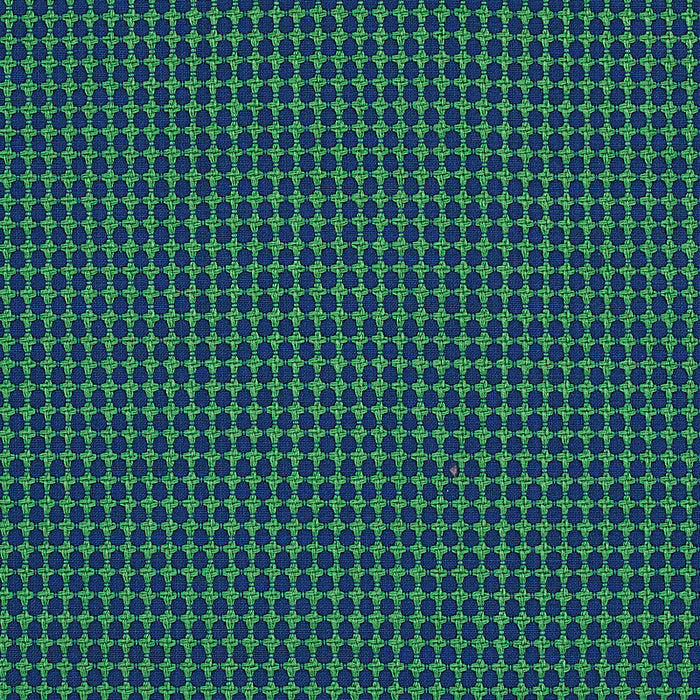 Schumacher Zipster Navy & Green Fabric Sample 70529