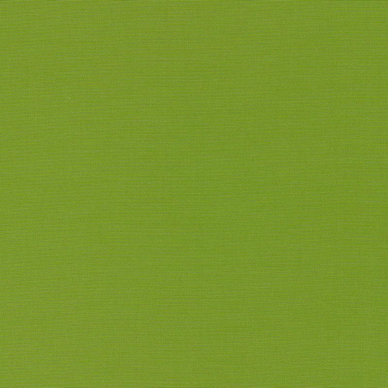 Schumacher Alassio Indoor/Outdoor Lime Fabric 70992