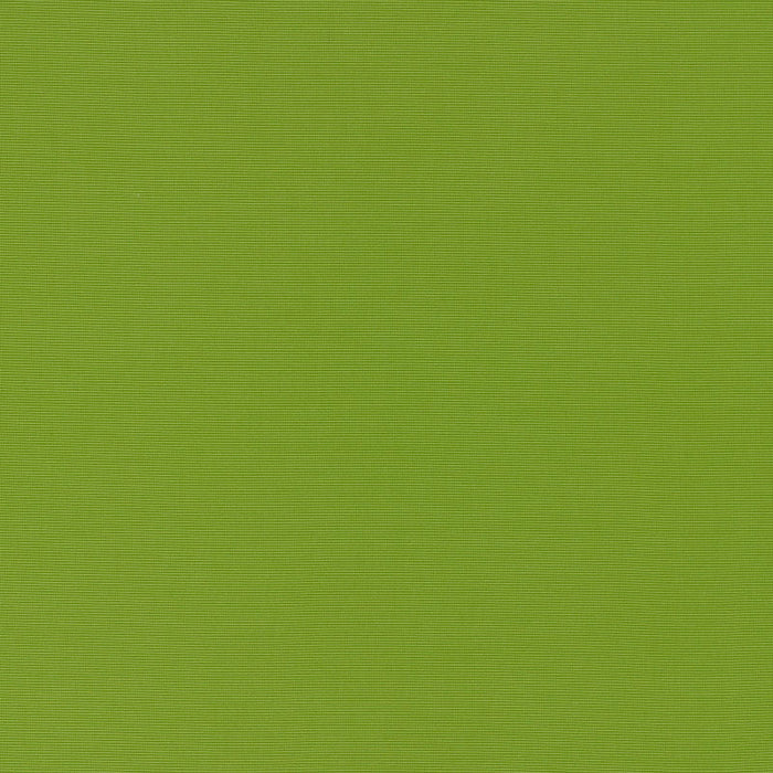 Schumacher Alassio Indoor/Outdoor Lime Fabric 70992