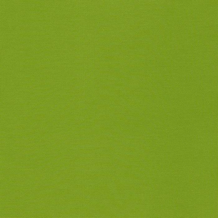 Schumacher Mondello Indoor/Outdoor Lime Fabric 71032