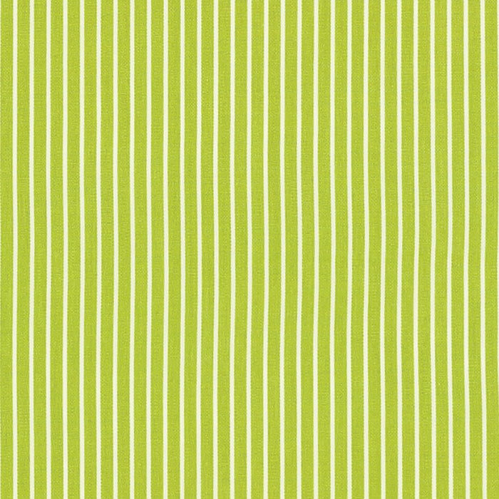 Schumacher Edie Stripe Green Fabric Sample 71306