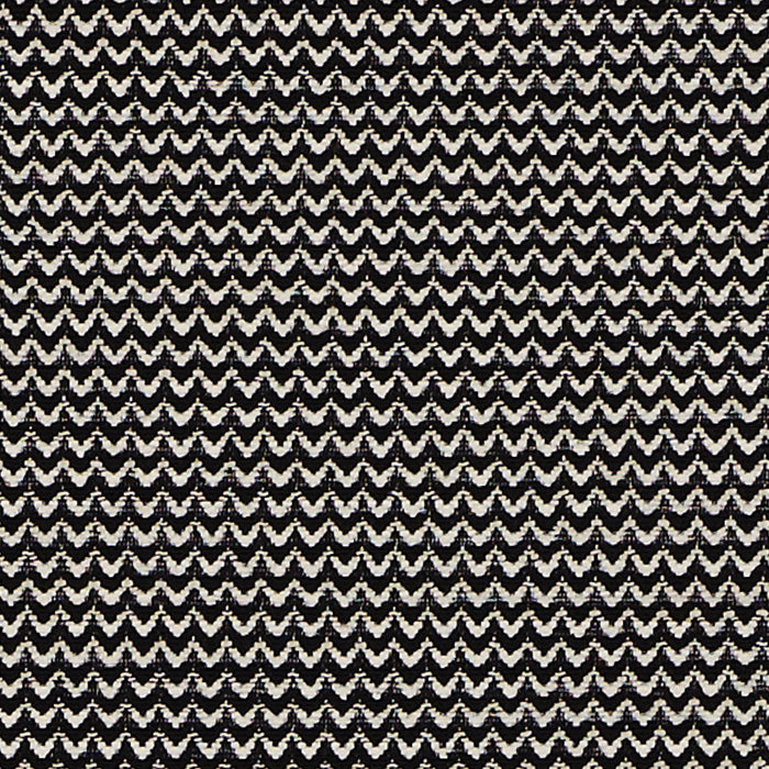 Schumacher Ellis Black Fabric Sample 71572